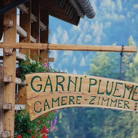 Garni Plueme