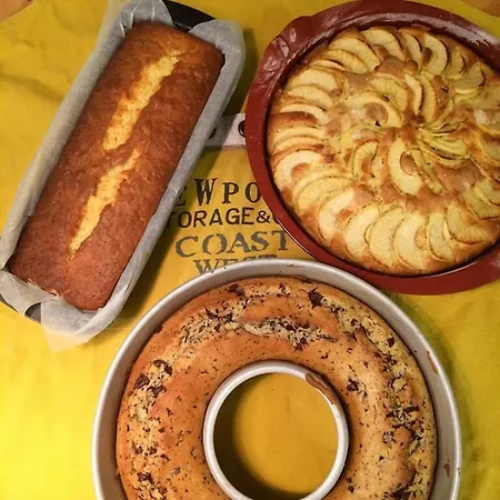 Garni Plueme ساوريس