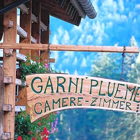 Hotel Garni Plueme 3*